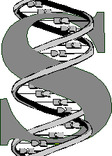 Gene umschlingen den Dollar: Unternehmenspopulationen als genetische Algorithmen