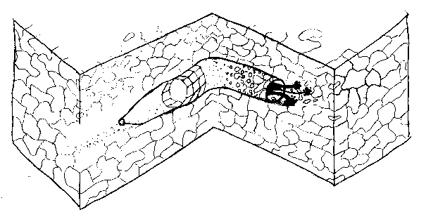 Der Erzwurm sollte den Tiefbau revolutionieren